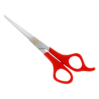Plastic Handle Scissor
